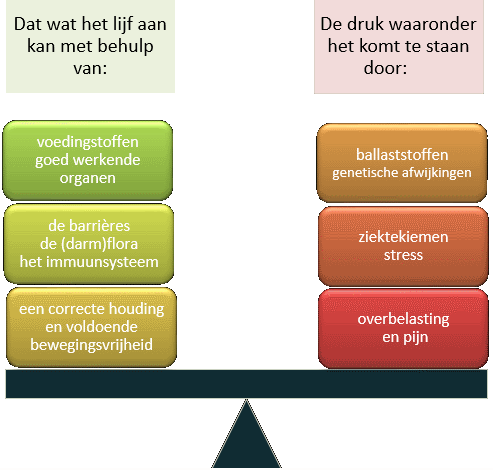 Gezondheidsbalans
